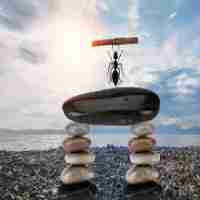 自‍动​网‍站‌收‍录​插‍件﻿是​什‌么﻿